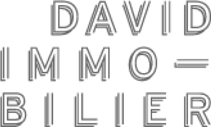 Logo David Immobilier